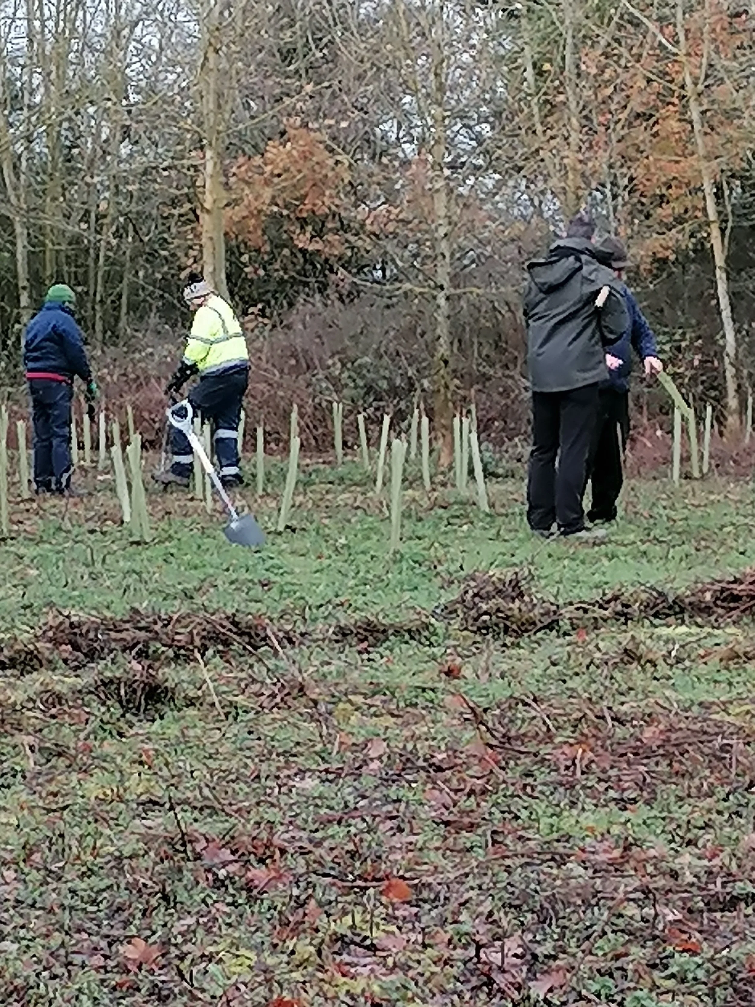 IMG_20221210_115644.jpg