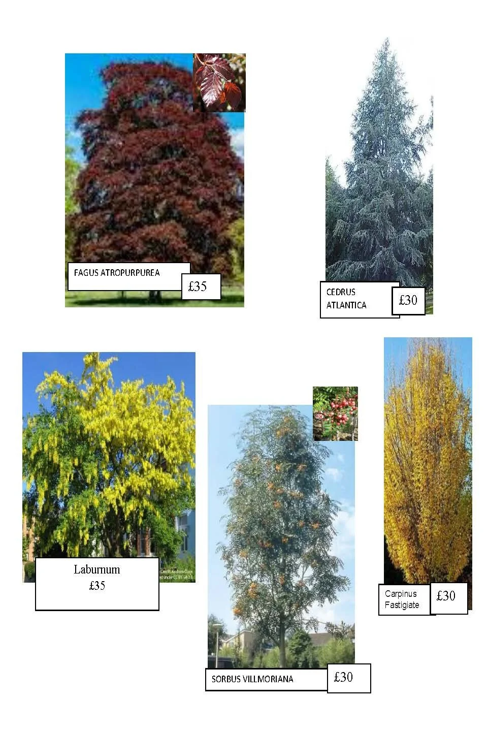 Final Location map 25-26_Page_02.jpg