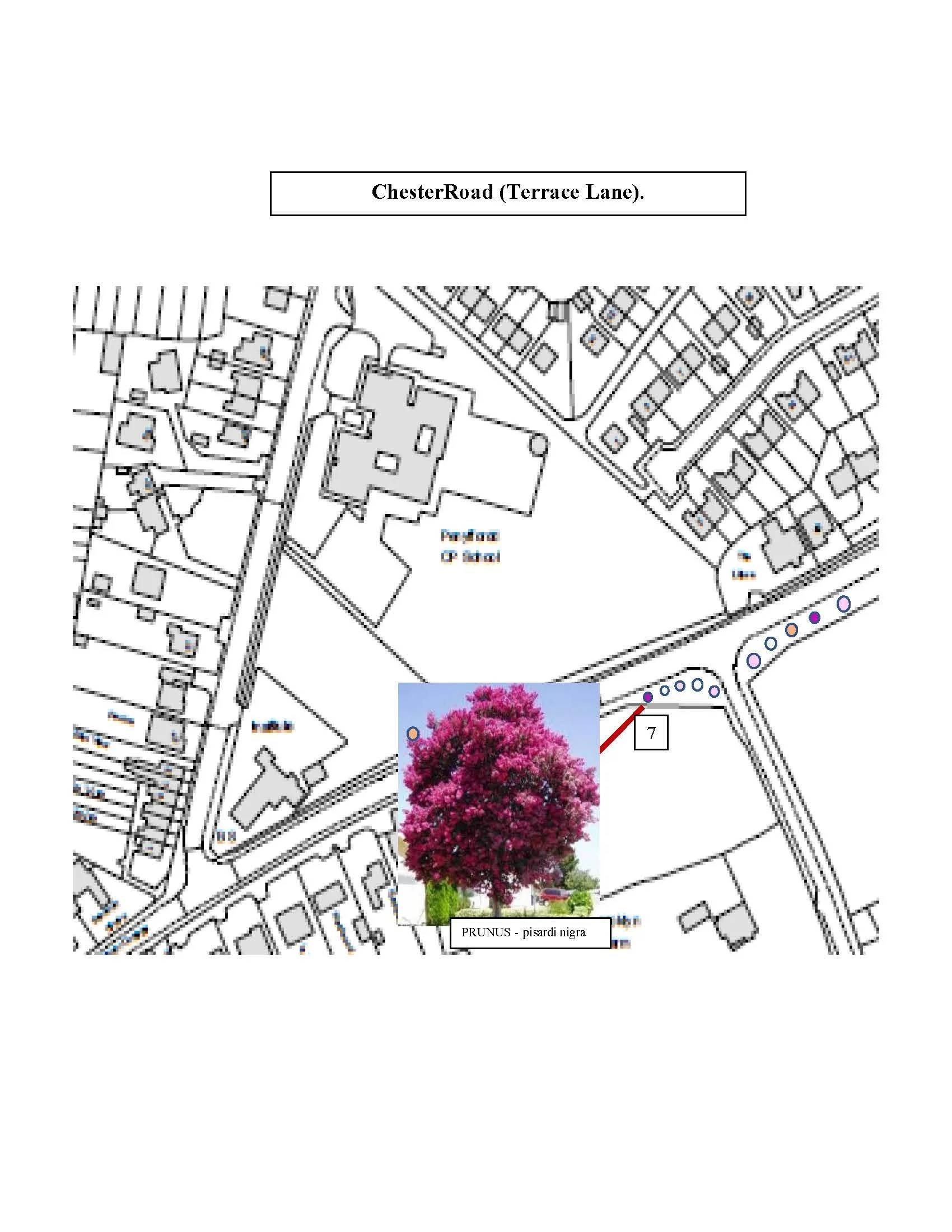 Final Location map 25-26_Page_06.jpg