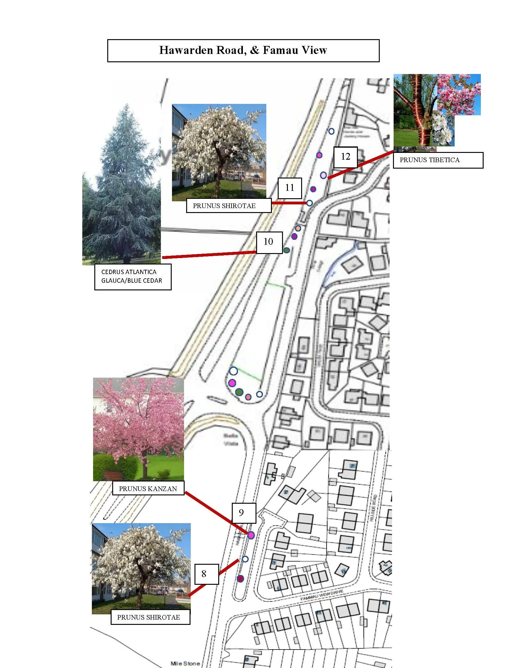 Final Location map 25-26_Page_07.jpg