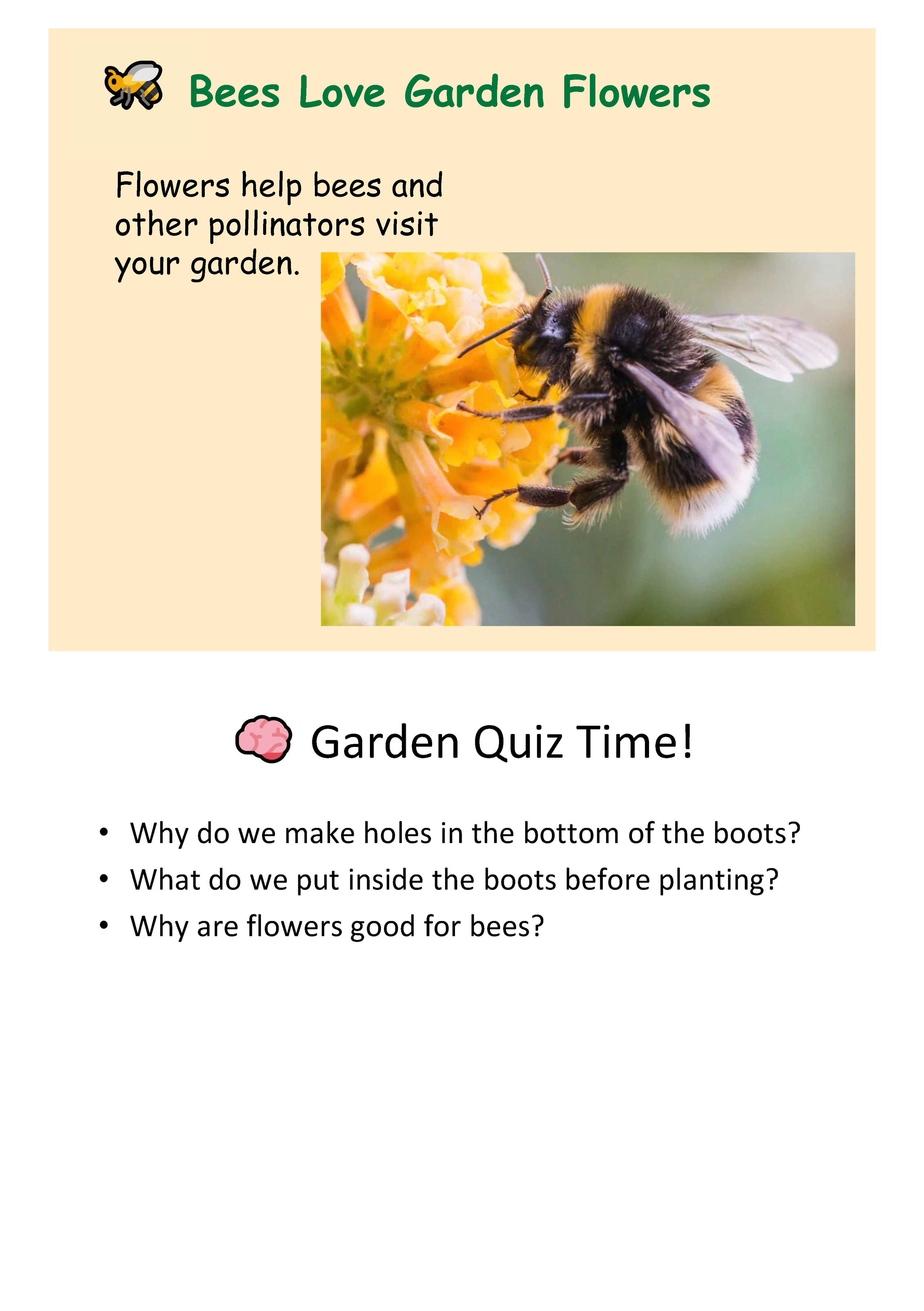 How to Guide - wellington_boot_garden_clean_layout  - 18.03.2026 double page_Page_4.png