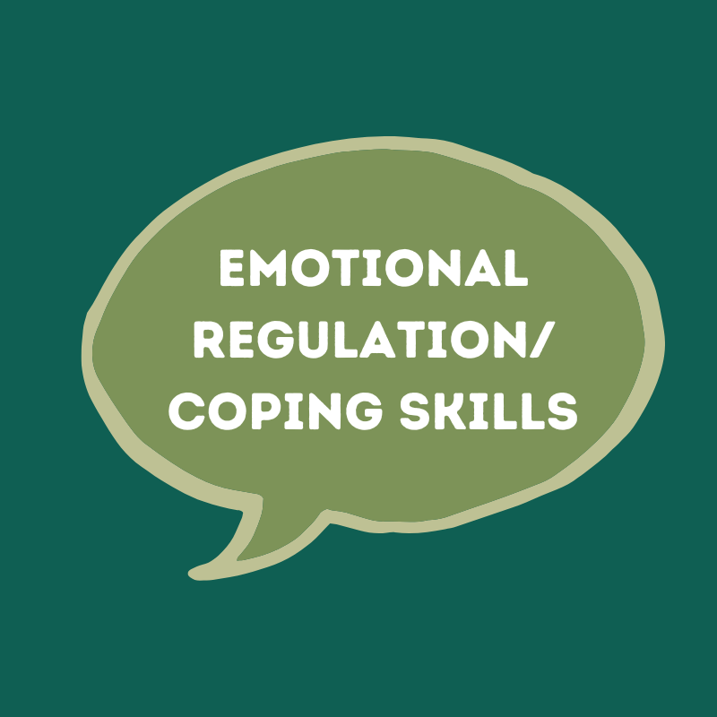 Emotional Regulation/ Coping Skills Workshop