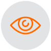 icon_vision.png