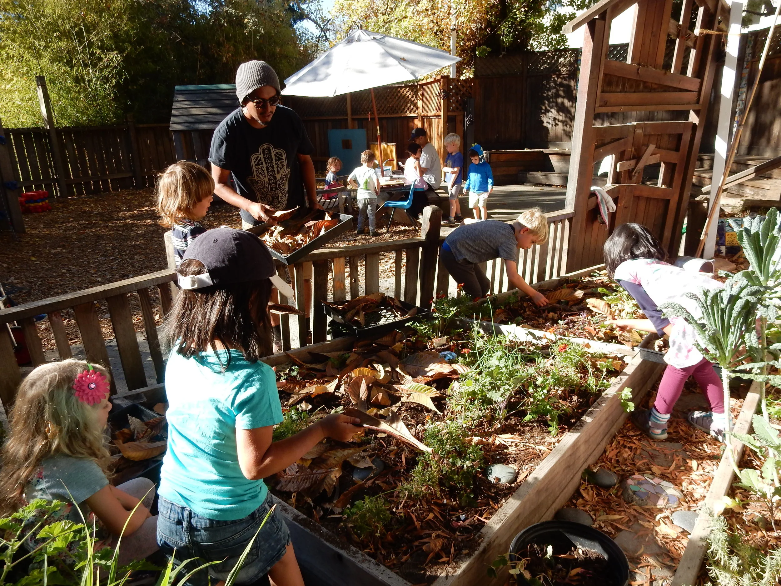 Planting #2 Late Fall