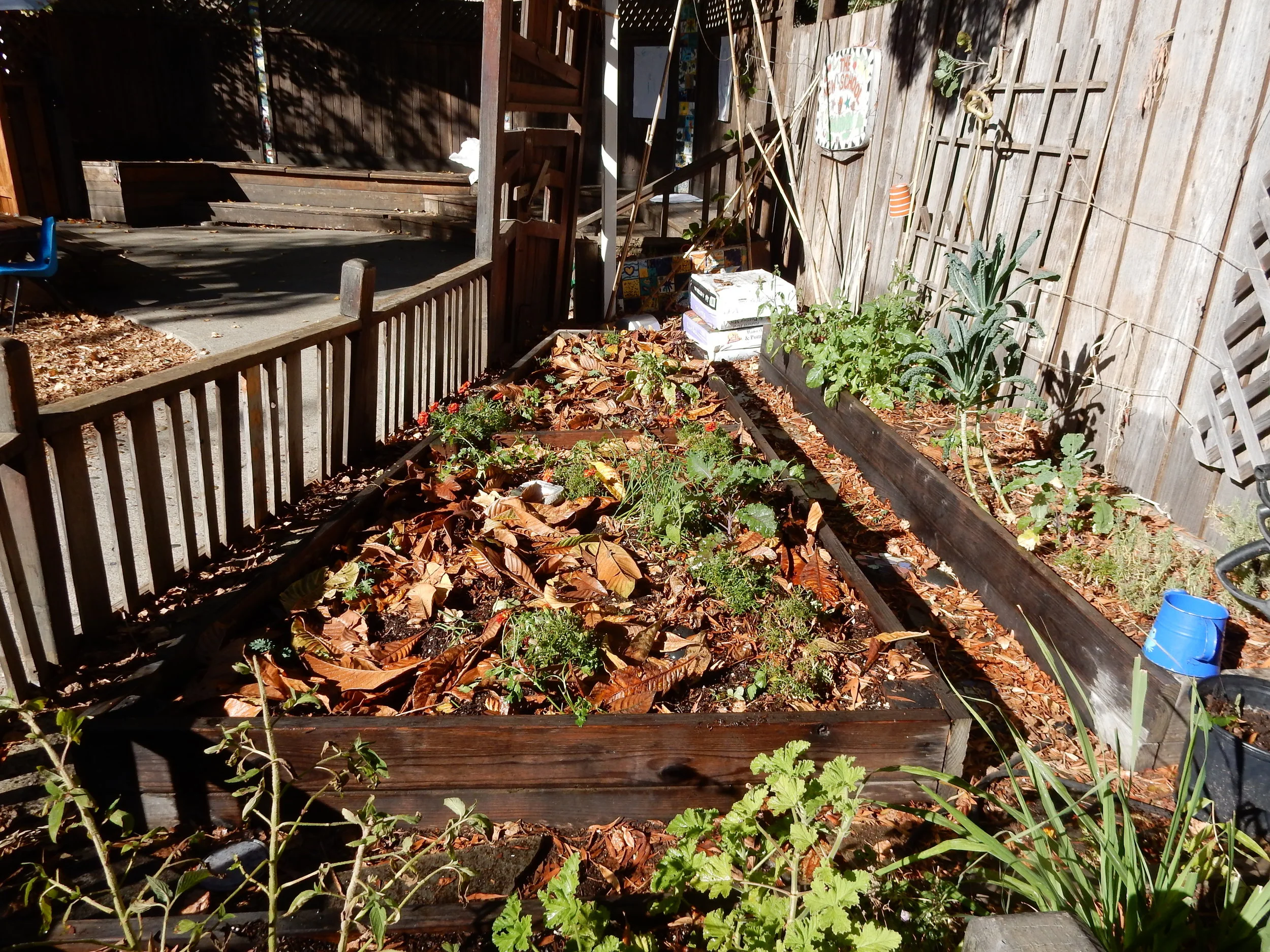 Planting #2 Fall - mulch layer added