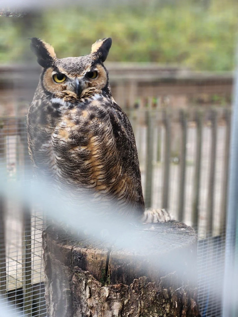 Atwood Center — Atwood Park