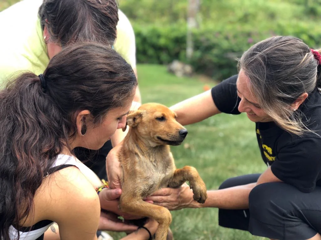 WhatsApp Image 2018-06-29 at 6.15.09 PM.jpeg