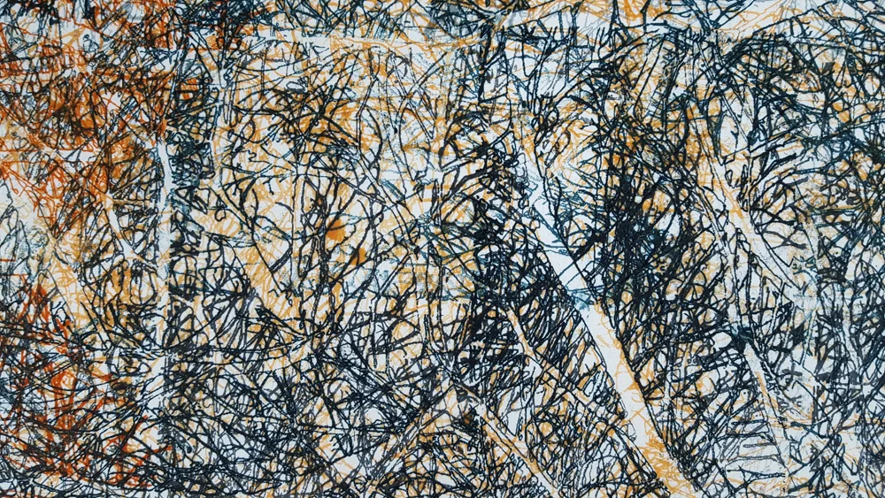 Maggie Pearson: repeated layering of a thermofax screen