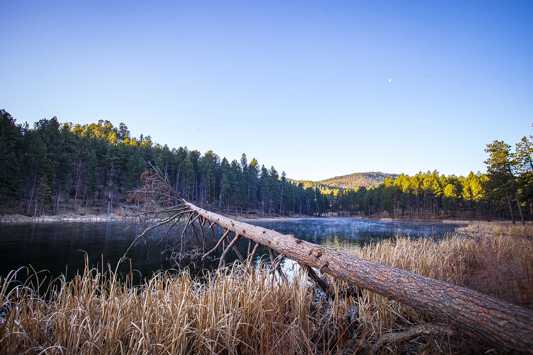 Sheridan Lake