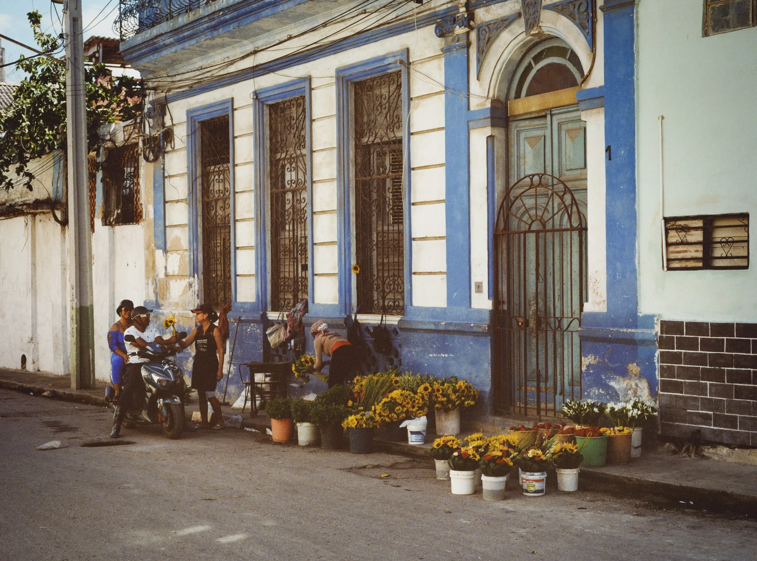 20231027_FlowerVendor_007_PrSc.jpg