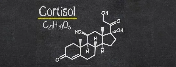 Cortisol-©-Zerbor-min-620x236.jpg