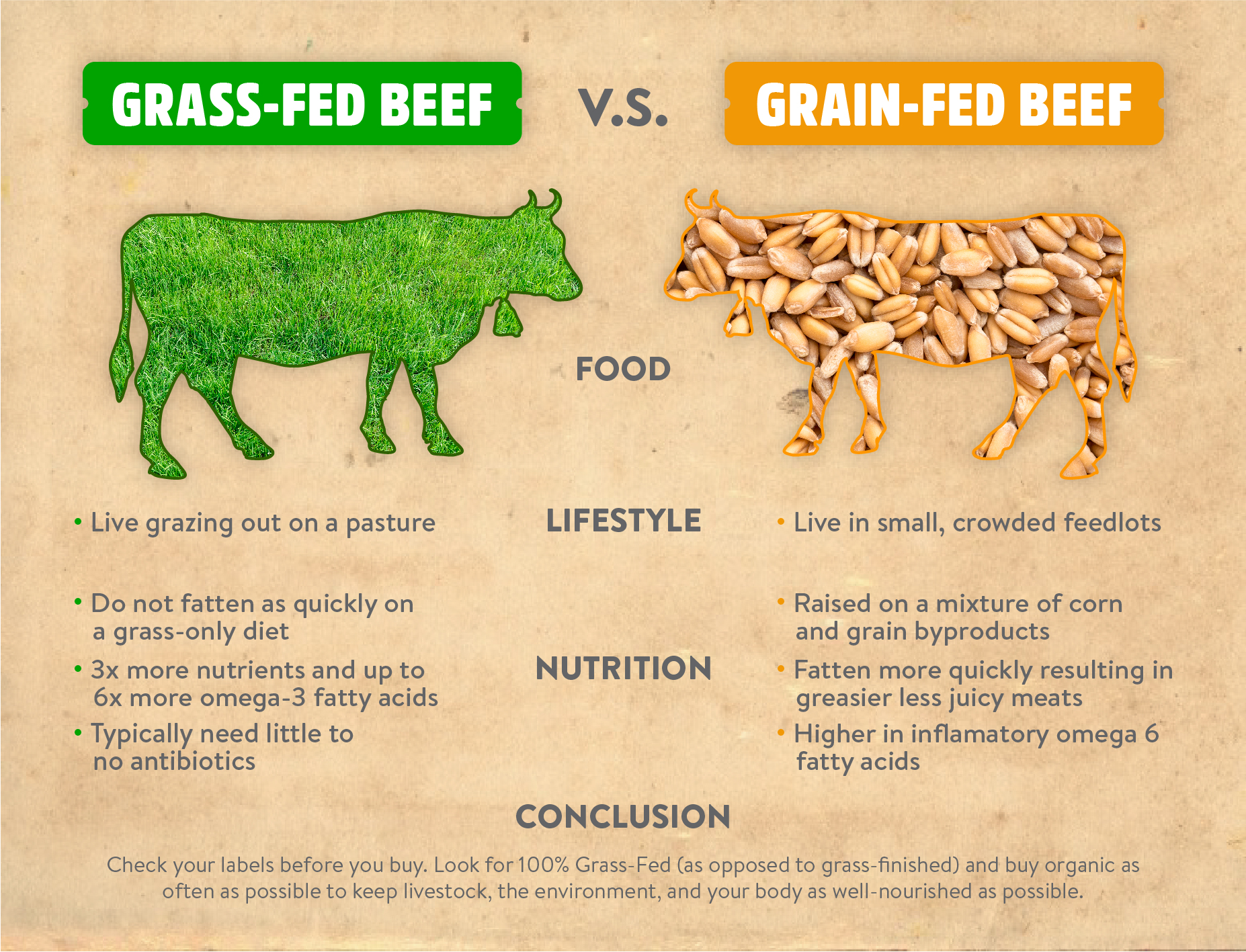 Grass_Fed_Vs_Grain-02.jpg