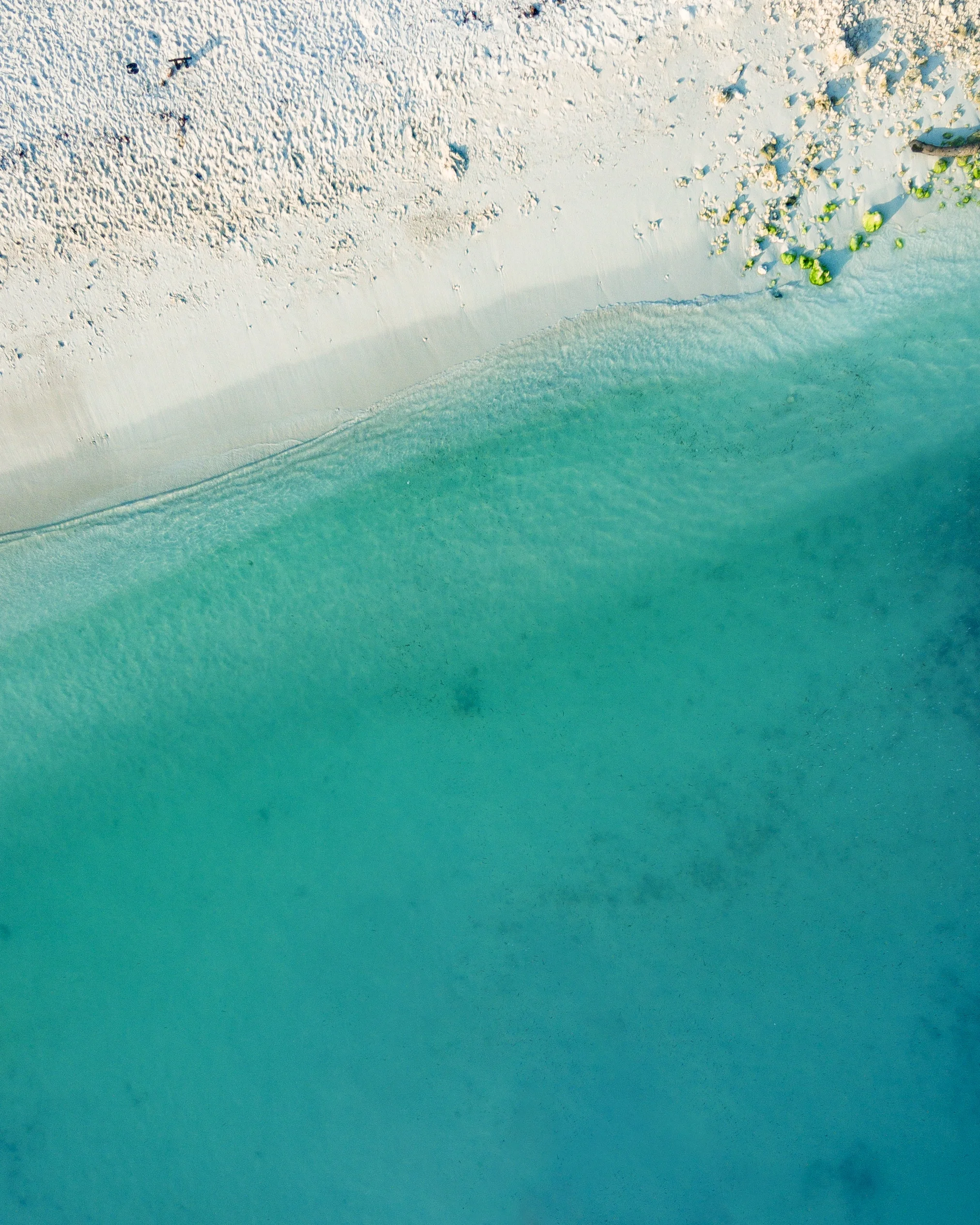 saffu-438949-unsplash.jpg