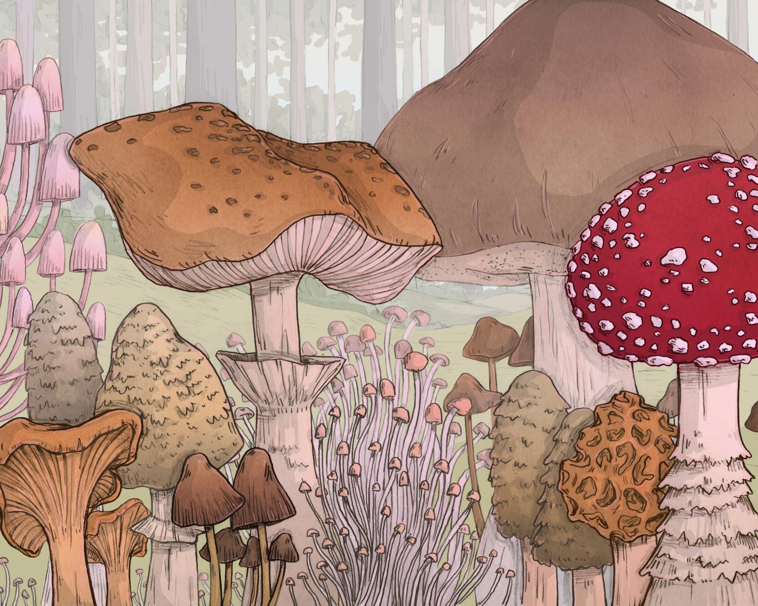 mushrooms