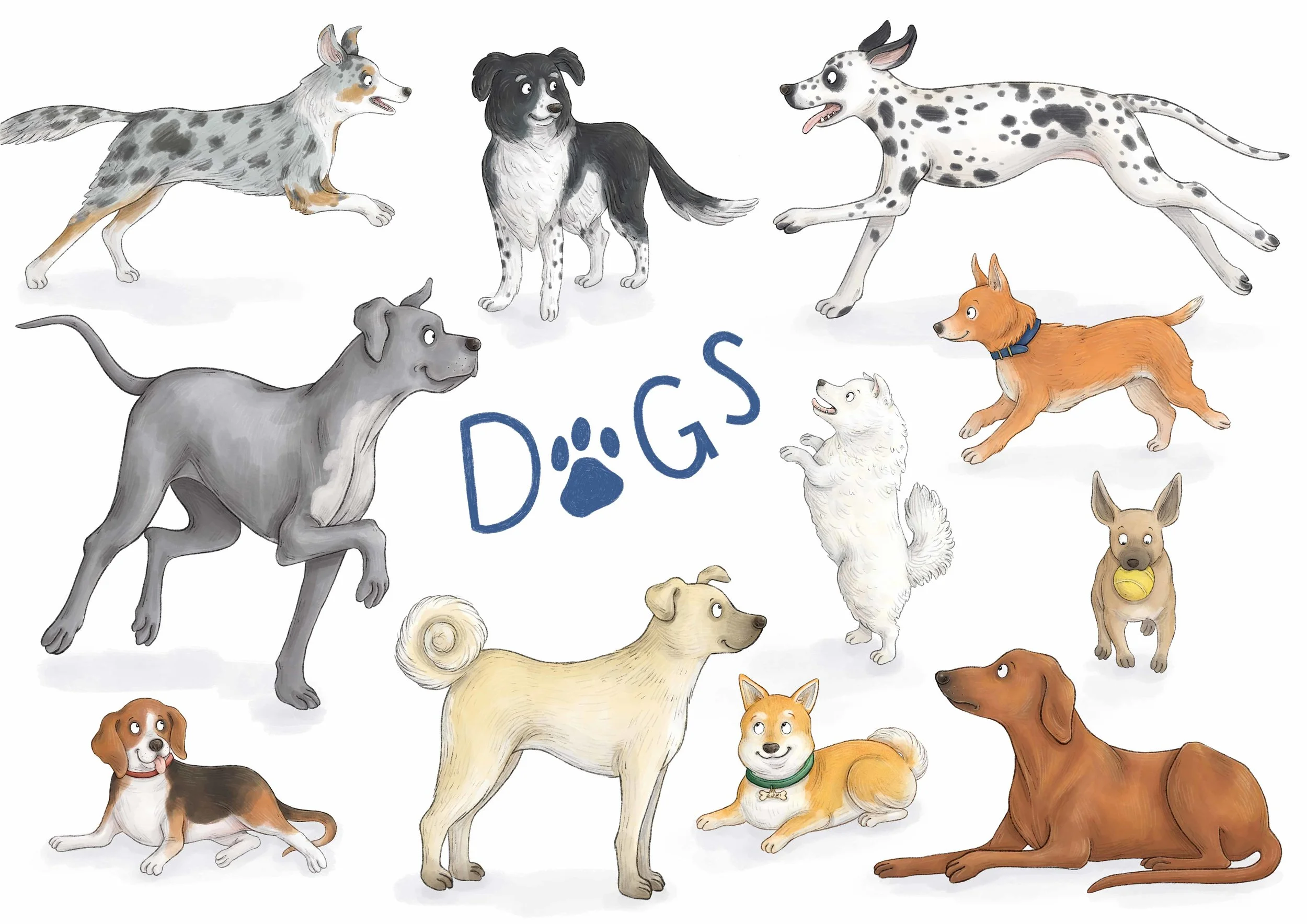 Dogs