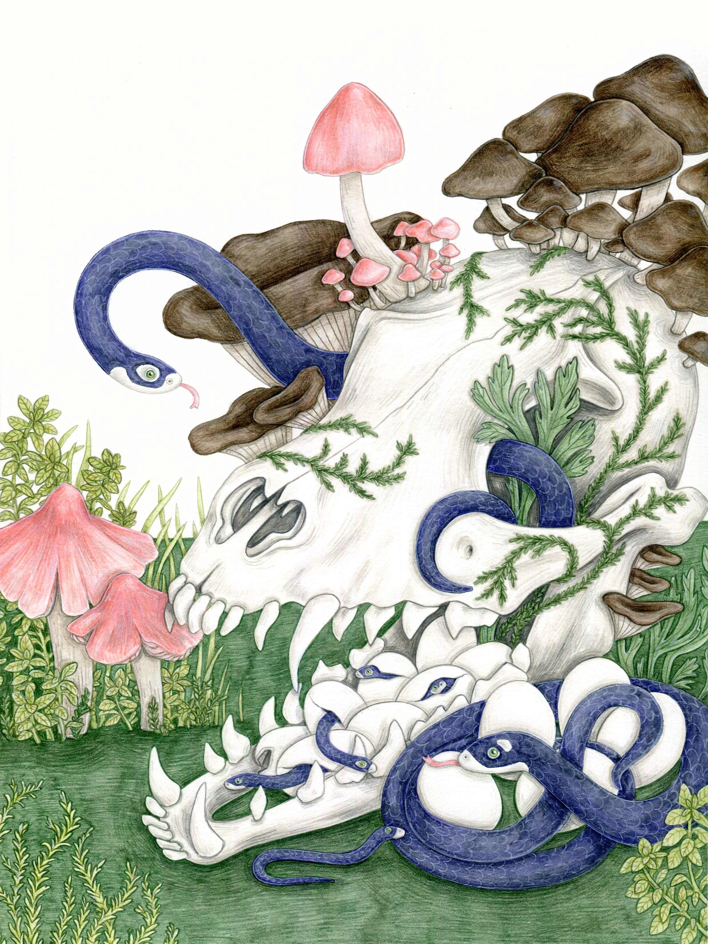 Cornelia Funke "The Beginning"