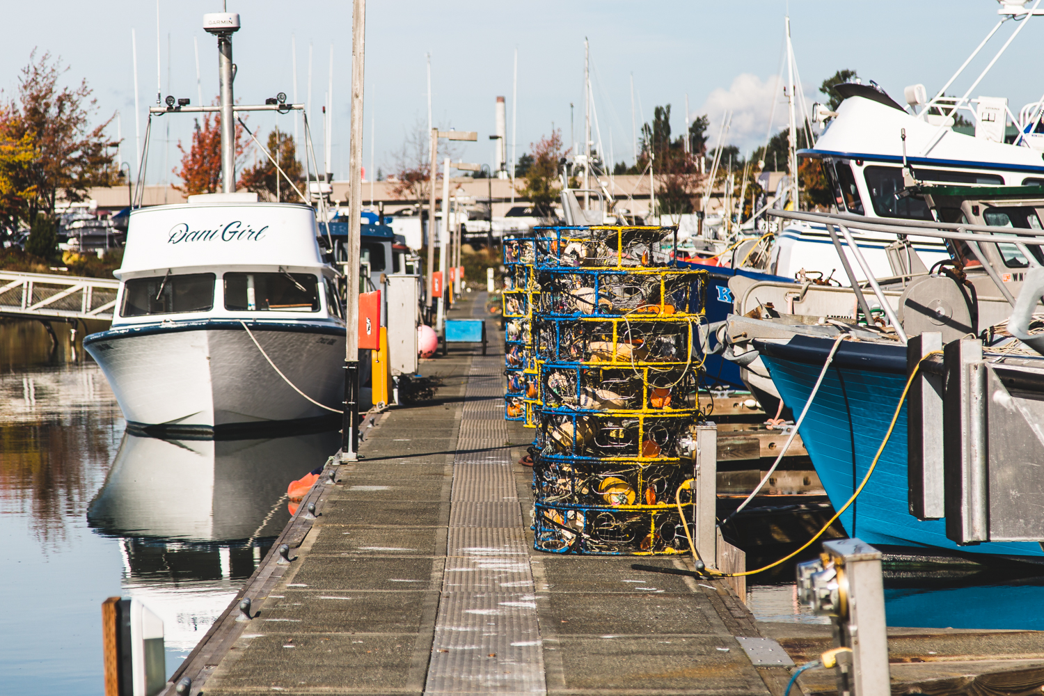 EC_DOCKS_WEB-8.jpg
