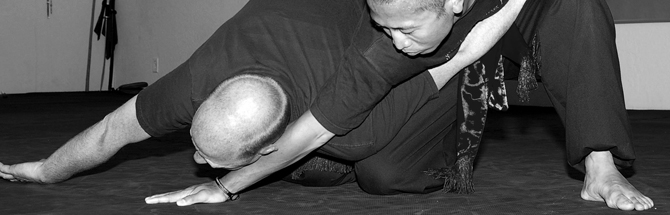 arm bar kungfu.jpg