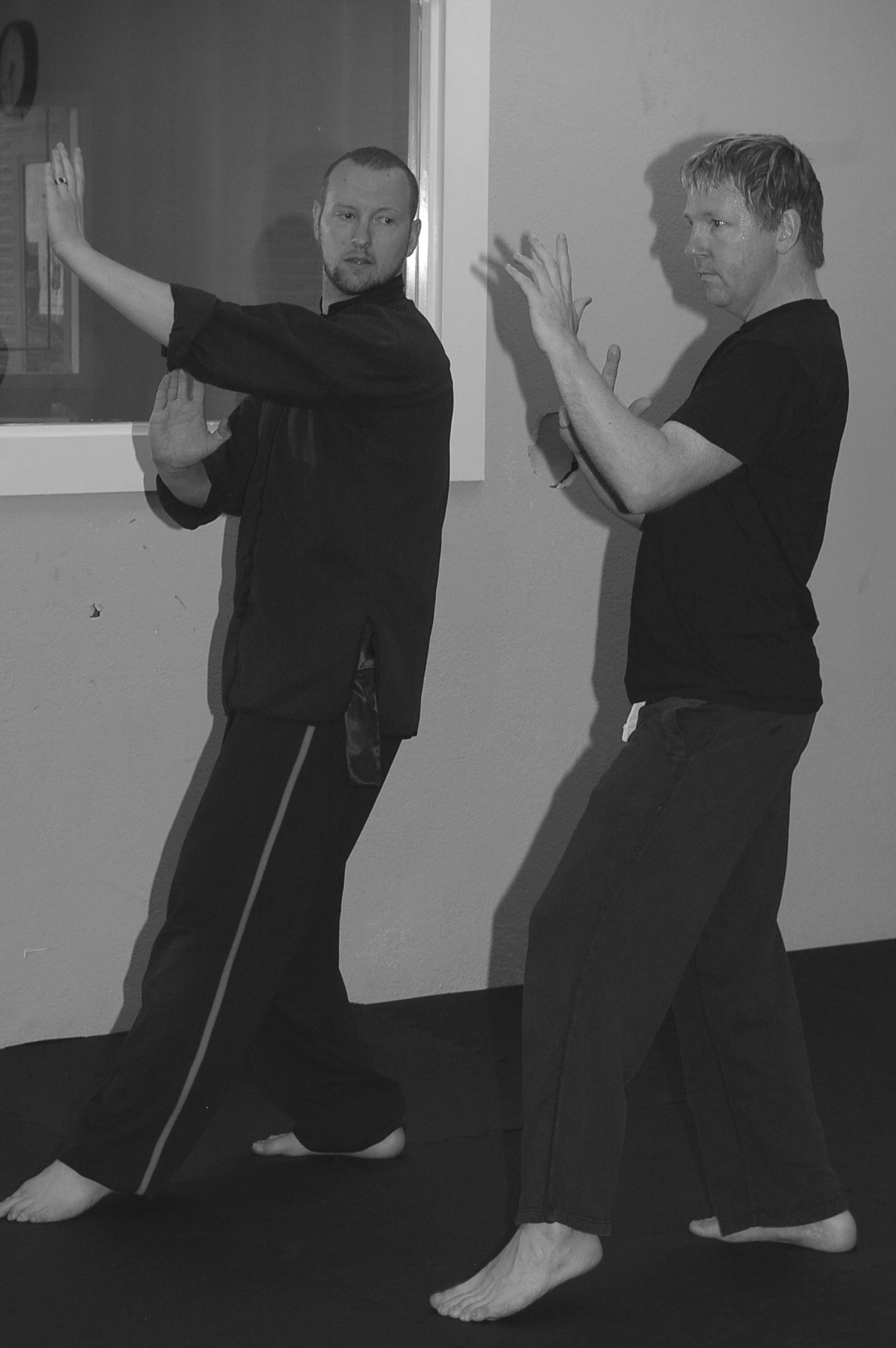 renton martial arts private instruction .jpg