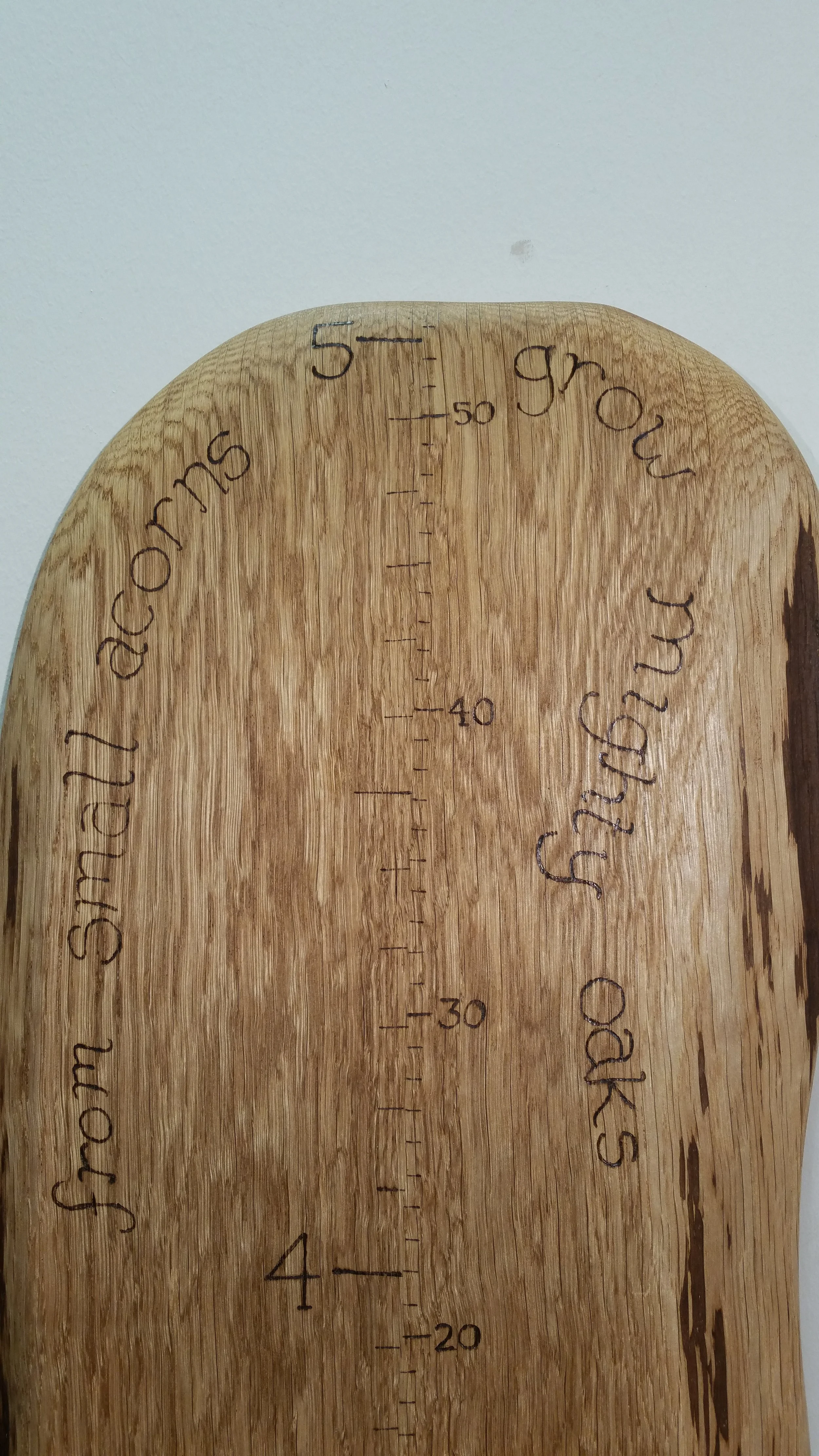 Oak ruler "From small acorns grow mighty Oaks"