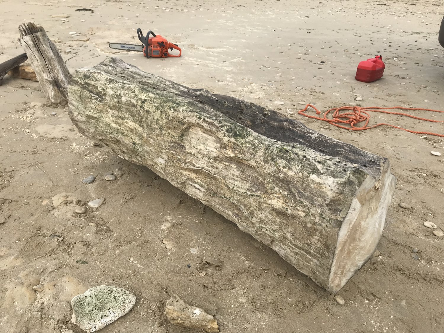 The second large trunk section of the tree to become stool tables for interior living spaces. 