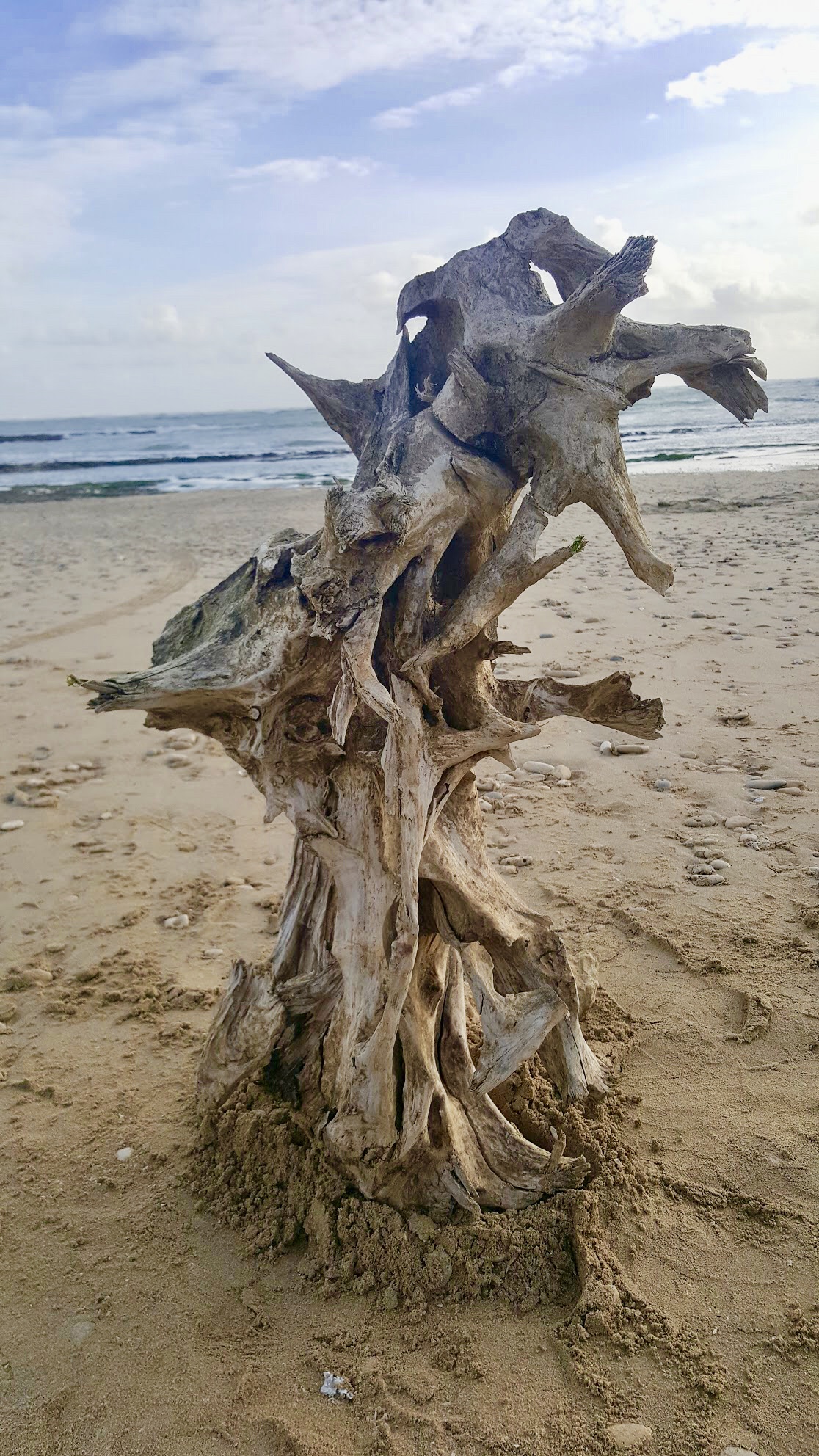 what will it become after Brad Quarless has worked his wood sculptor magic on it?