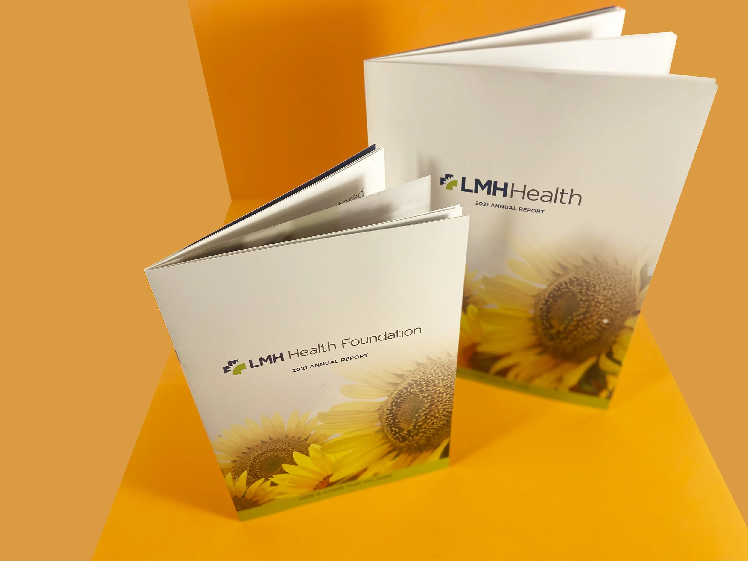 Complementary annual reports for a community hospital and its foundation | Lithography by Trabon Group