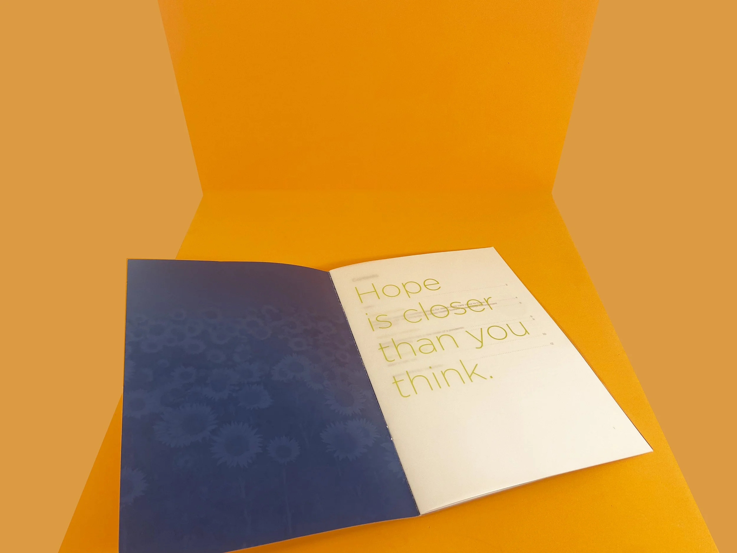 hospital annual report blue inside translucent vellum.jpg