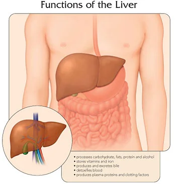 hepatitis_liver.jpg