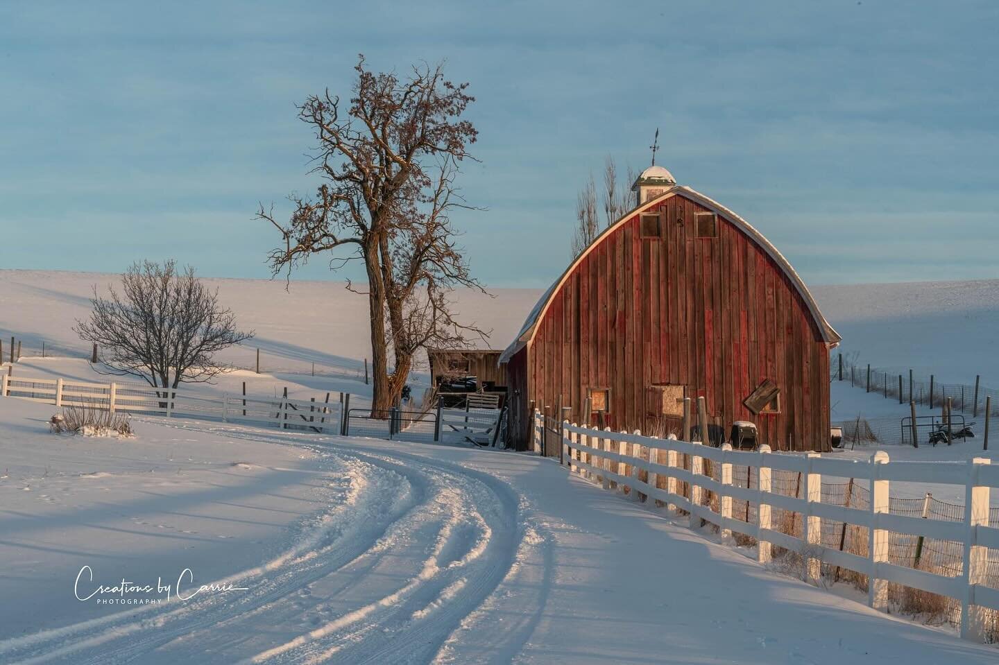 A nice barn tucked in the Palouse hills!
#palouse#rollinghills#winter#idaho#idahome