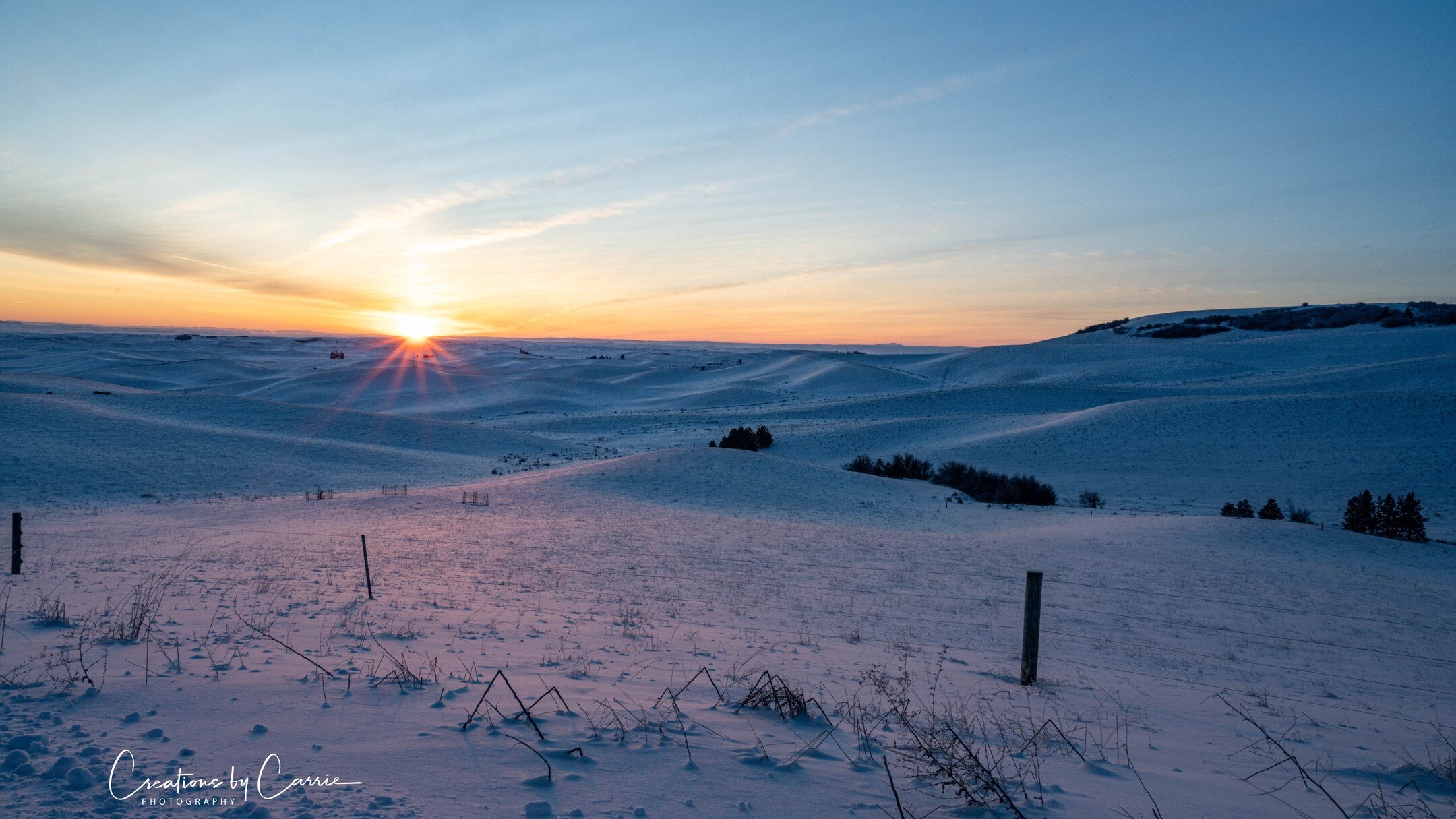 Frozen landscape with -20 degree temps while I was taking this photo!
#palouse#rollinghills#frozenlandscape#wintersunrise#idaho#idahome