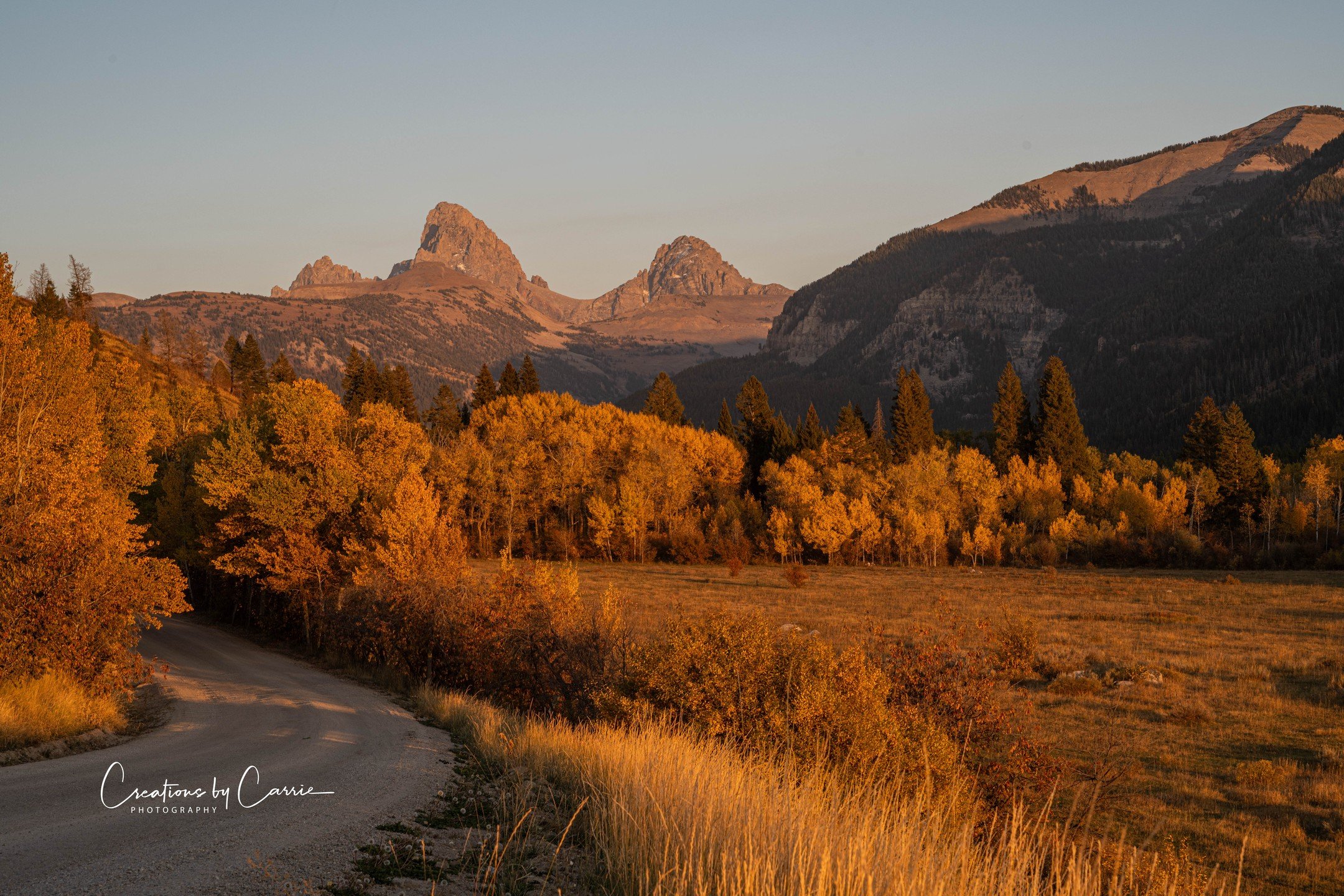 #tetons#tetonview#alta#wyoming#fallcolors