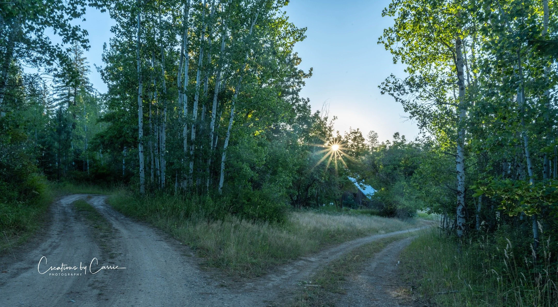 #tworoadsdiverged#sunstar#idaho#idahome