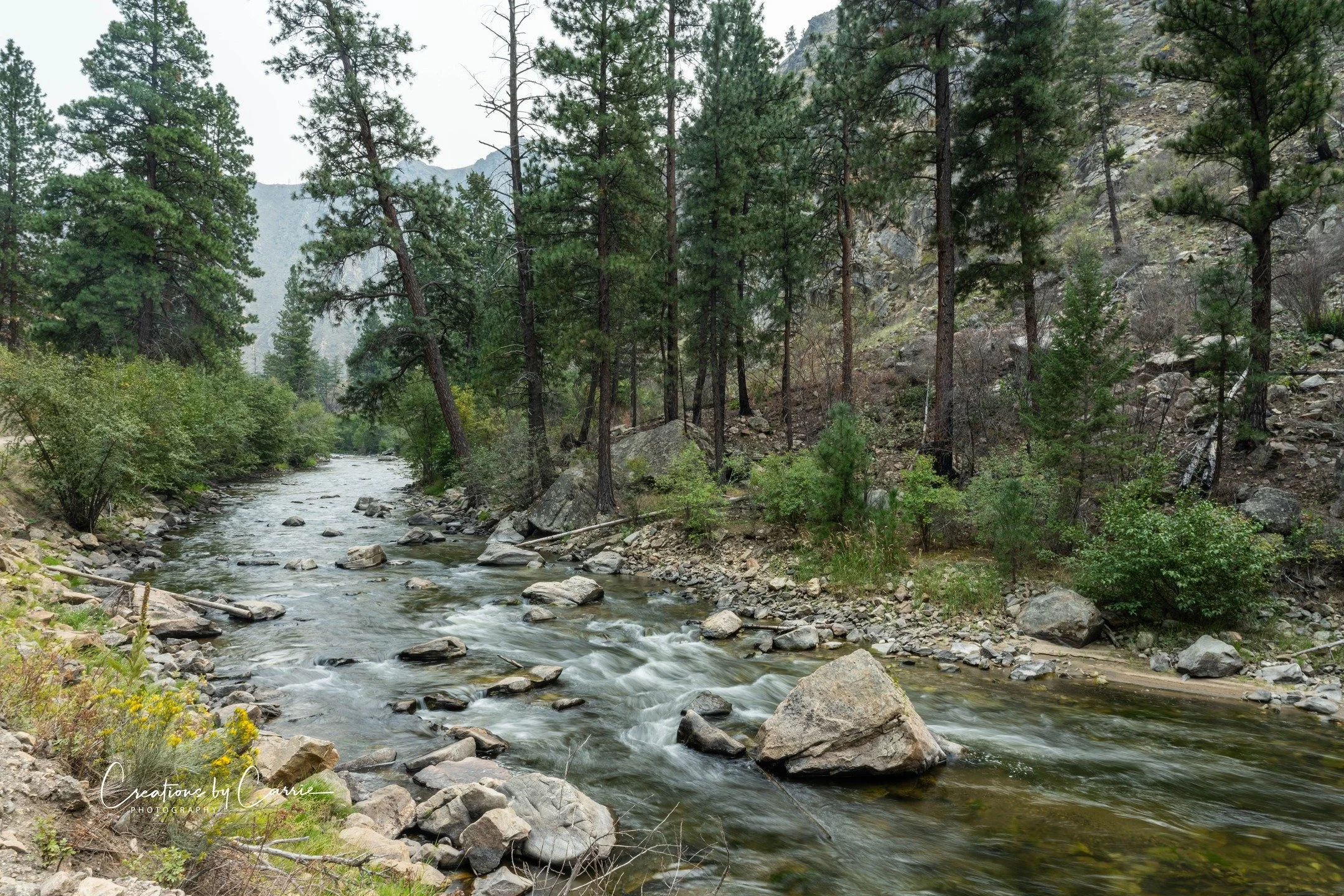 #panthercreek#northforksalmonriver#idaho#idahome