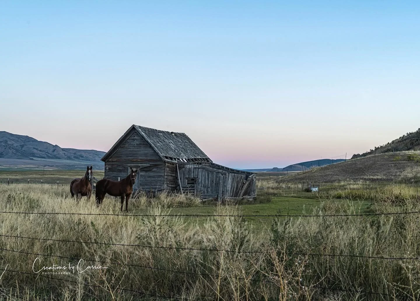 #goodmorning#horsesatsunrise#oxford#idaho#oldbarns#idahome