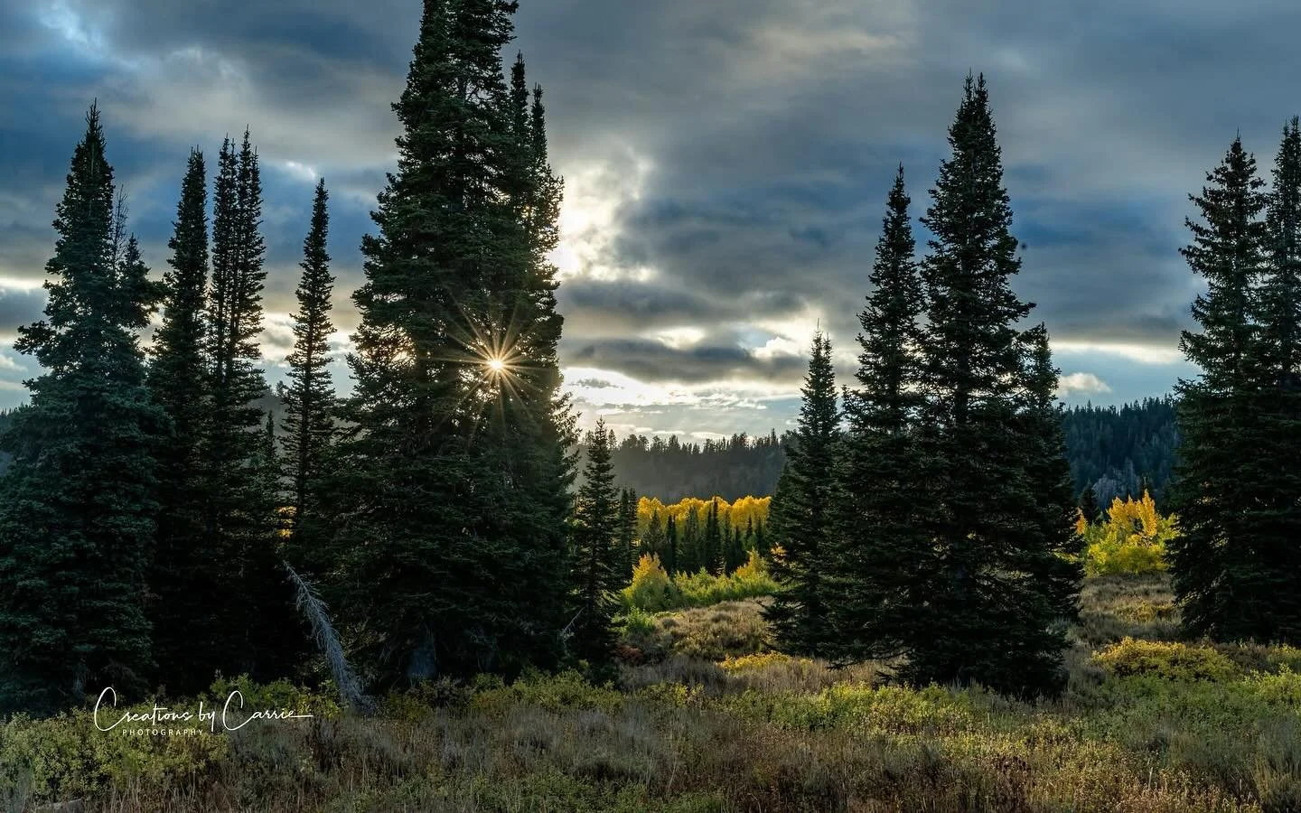 #fallcolors#aspen#bloomingtonlake#idaho#idahome