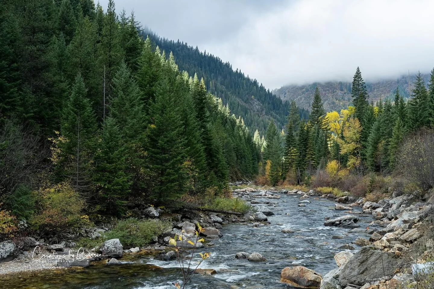 #kellycreek#northfork#clearwaterriverbasin#fallcolors#sunandfog#idaho#idahome
