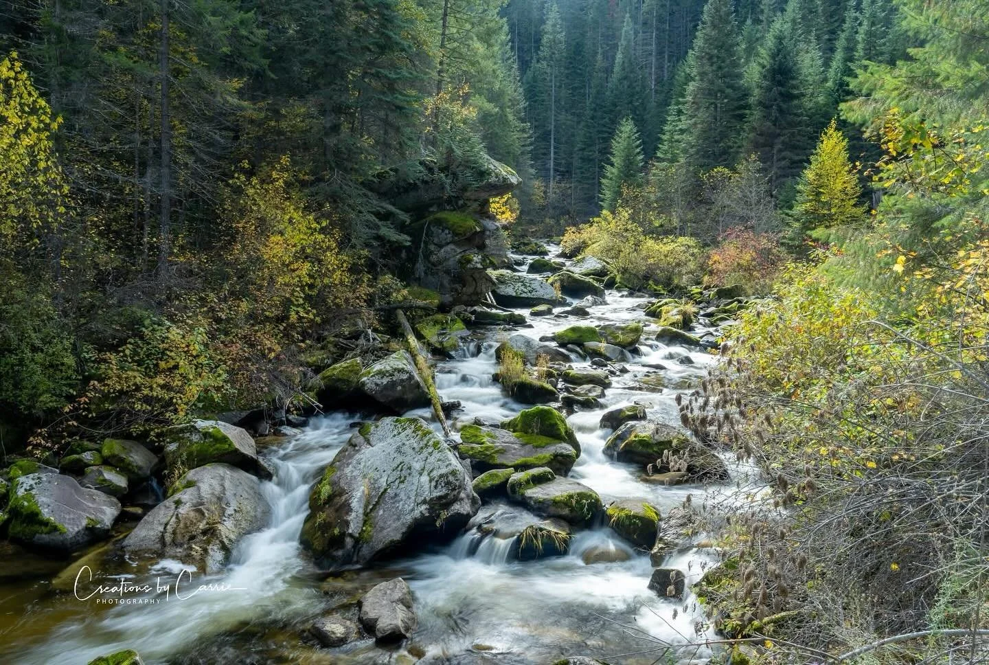#orograndecreek#northfork#clearwaterriver#idaho#fallcolors#longexposure#idahome