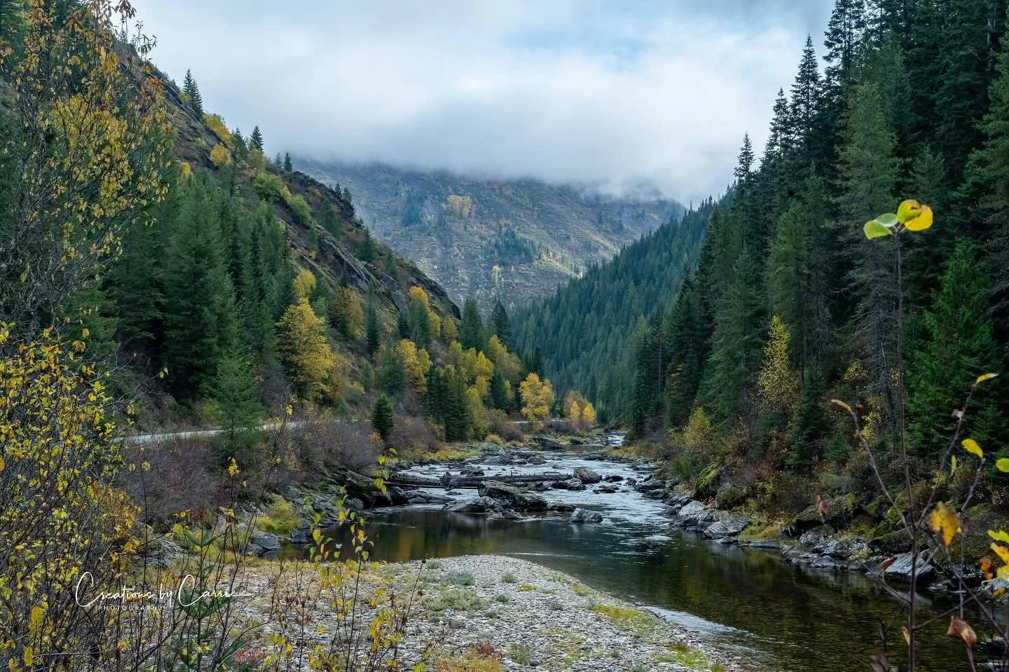 #kellycreek#northfork#clearwaterriverbasin#fallcolors#idaho#idahome