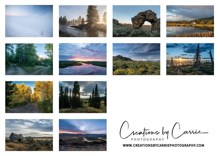 These are the images for my 2026 calendar! These are printed on heavy card stock with vibrant color. The cost is $25 each and $5 shipping. I am taking pre-orders now, with delivery expected towards the end of November. Message me to get your name on 