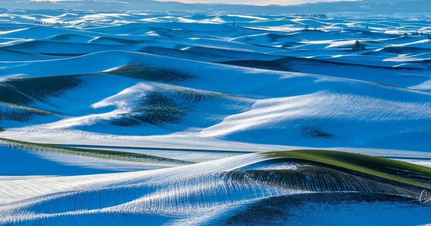 #green#white#juxtaposition#steptoebutte#washingtonpalousesunrise