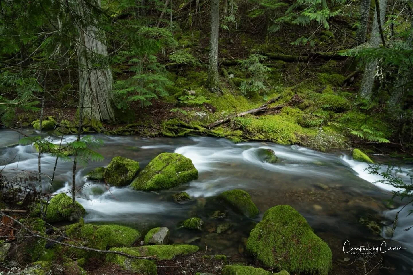 #beautycreek#waterandmoss#coeurdalene#idaho#idahome❤️