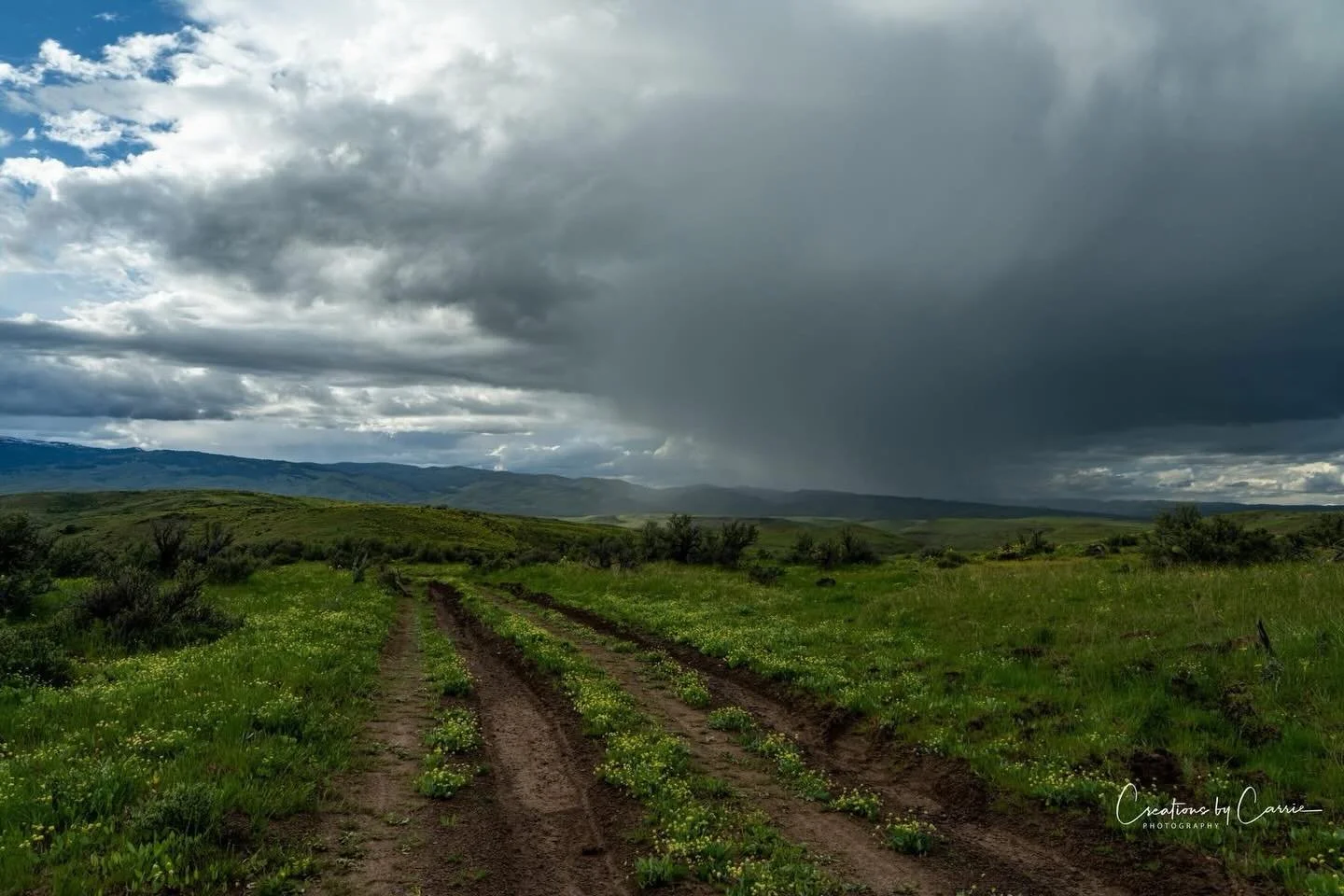 #stormclouds#wildflowers#council#idaho#idahome