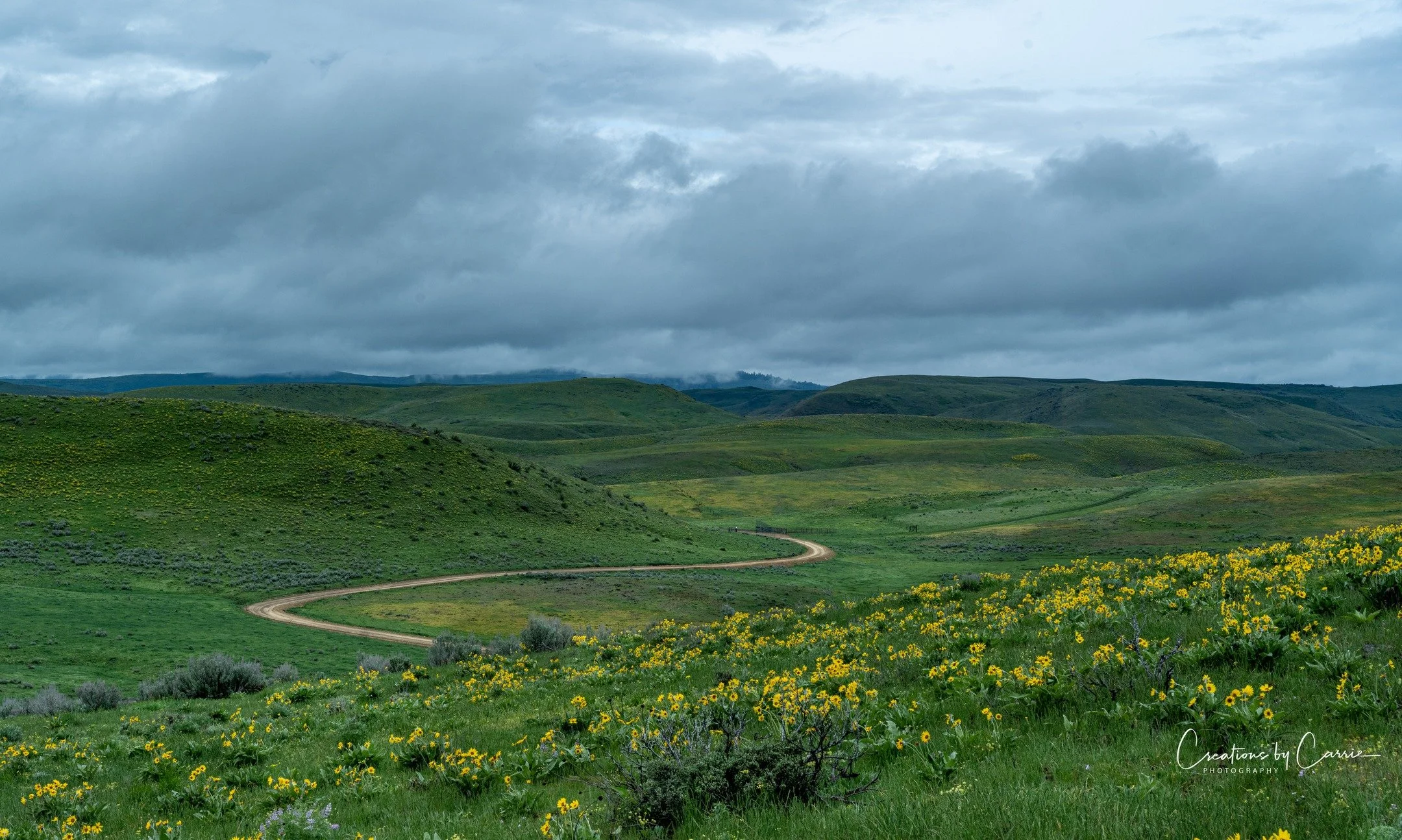 #thelongandwindingroad##italwaysleadsmehere#idaho#idahome