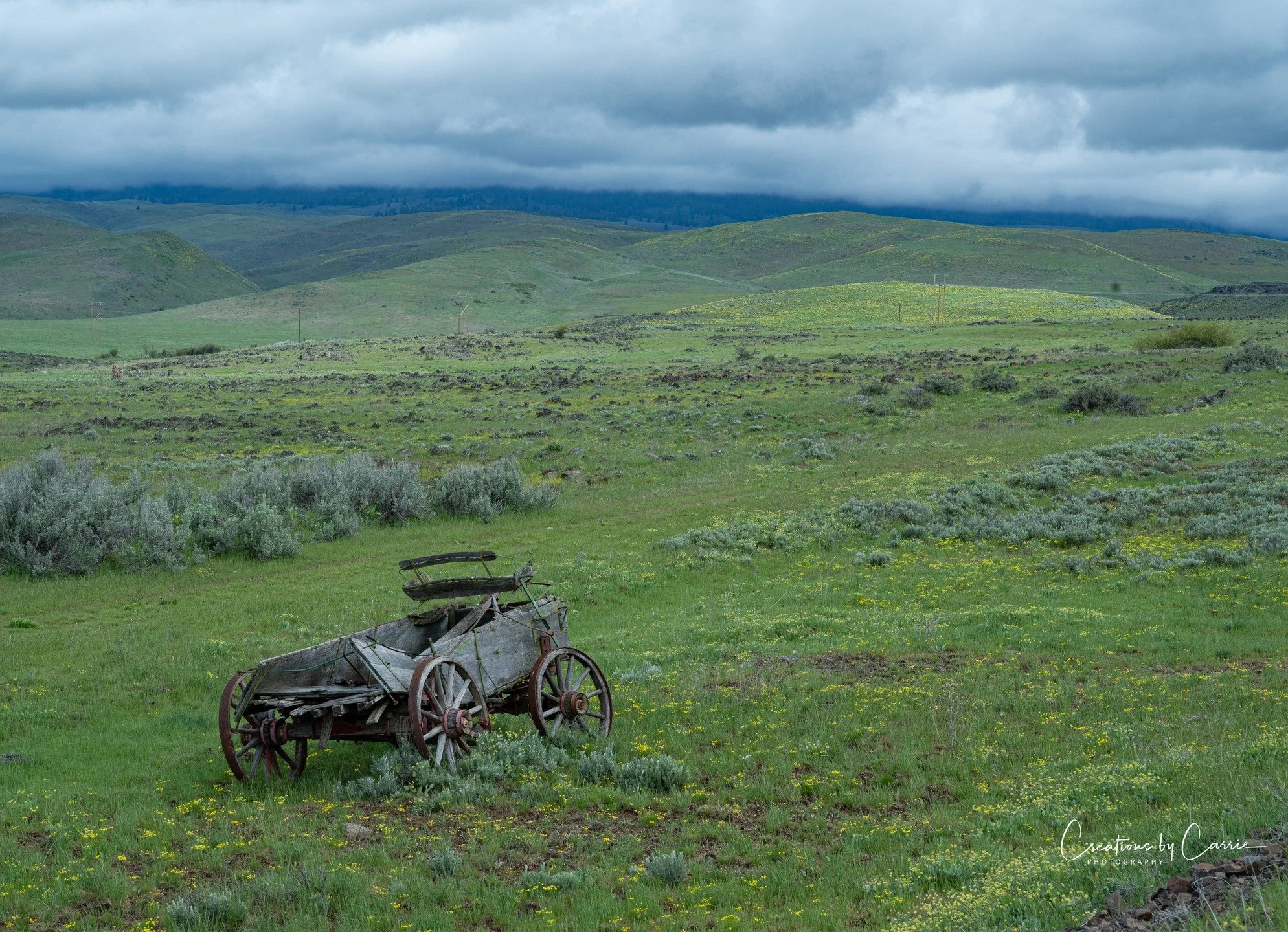 #yardart#idaho#idahome