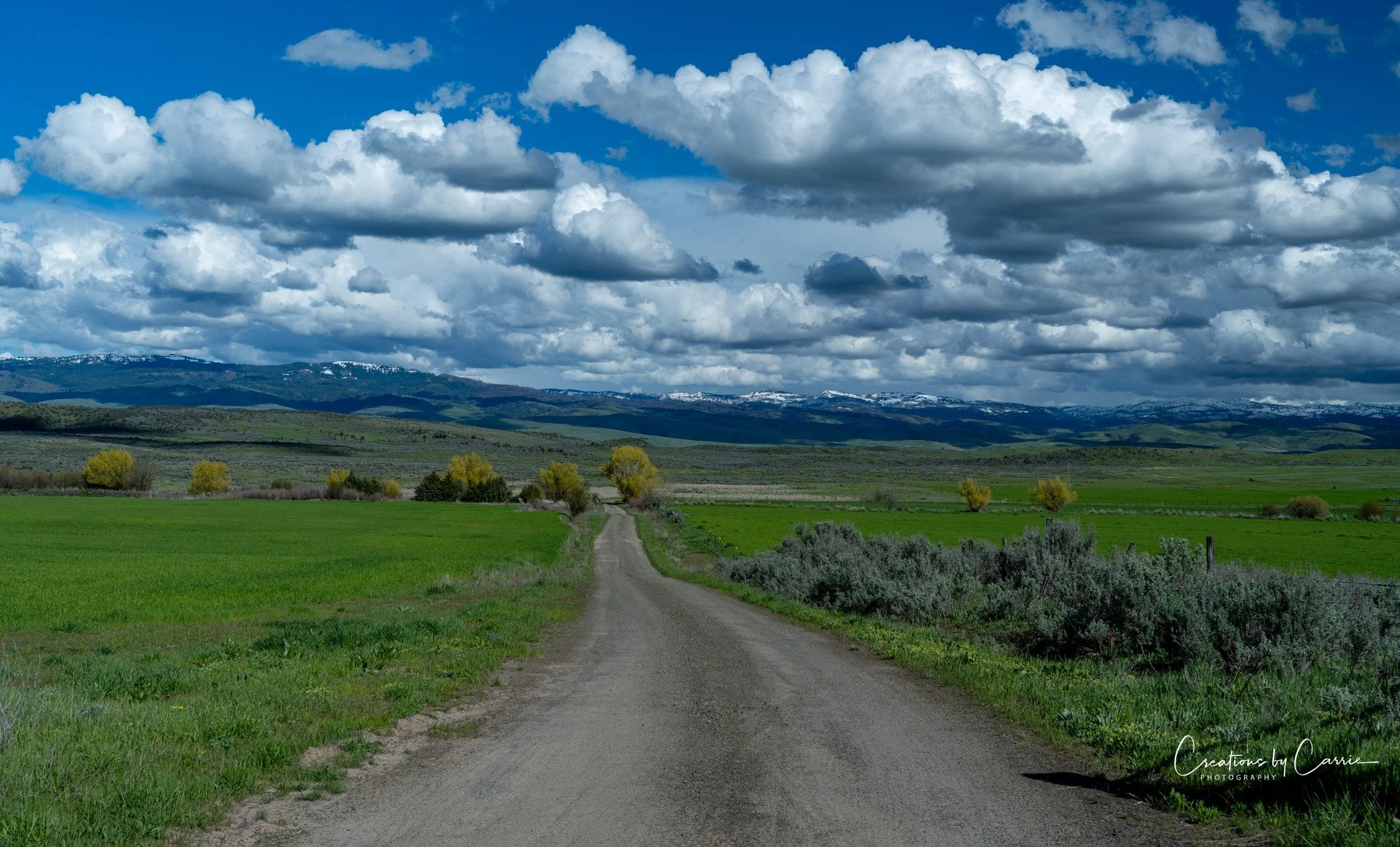 #countryroads#council#idaho#idahome