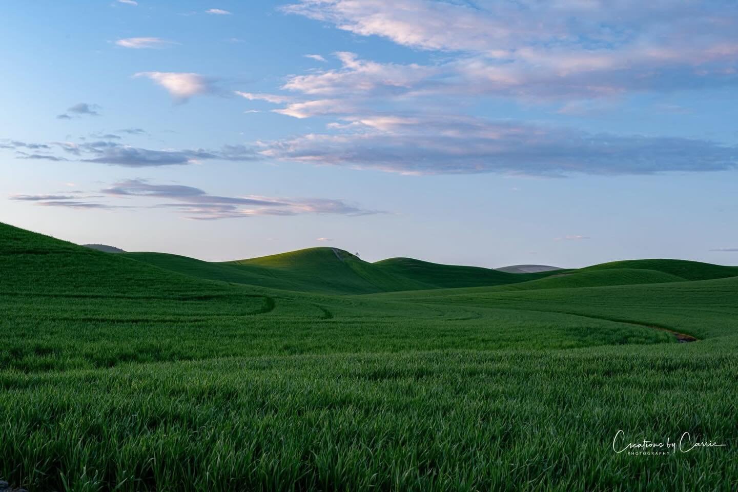 #palouse#rollinghills#sunsetlight