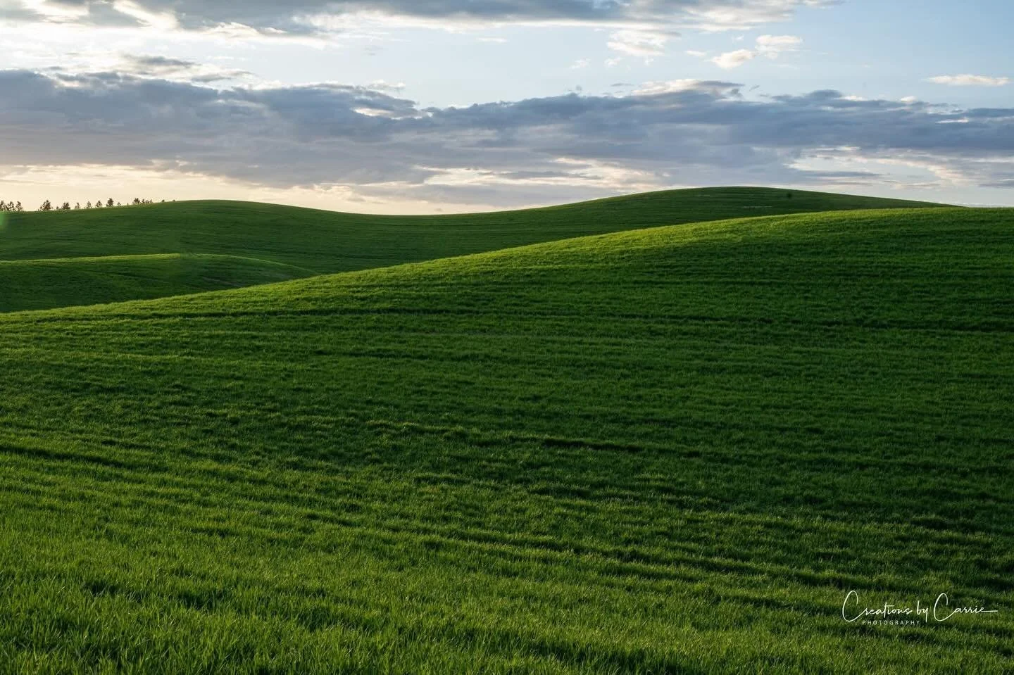 #hillsforever#palouse#rollinghills