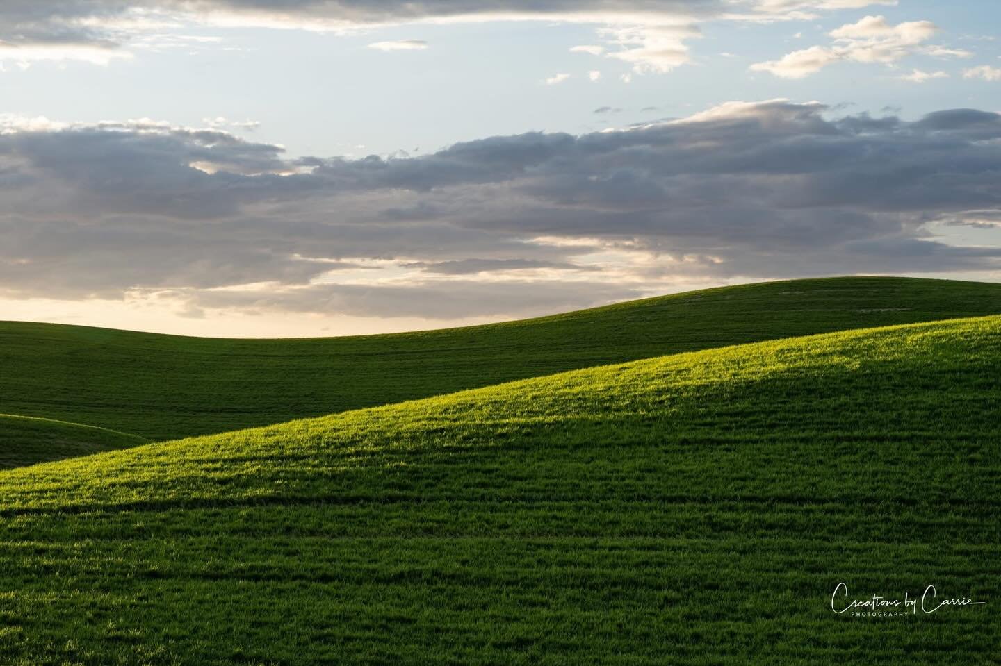 #endlesscompositions#palousehills#easternwashington