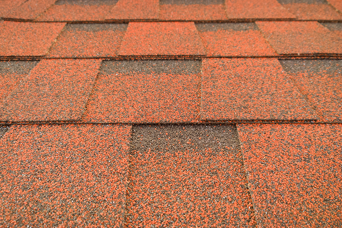 shingles (Copy)